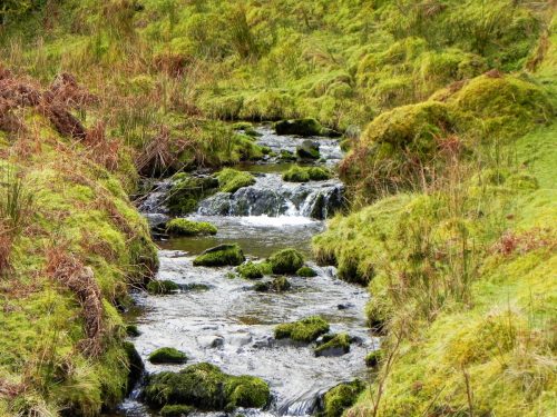 24.-Upstream-from-Colley-Water-2