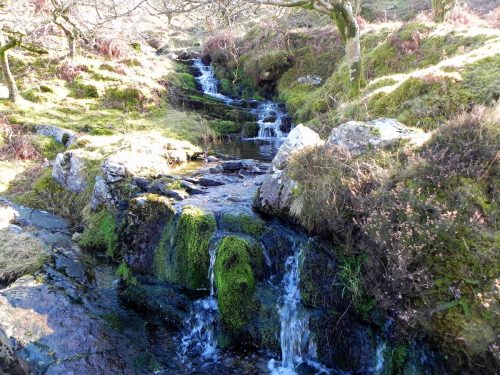 24.-Waters-join-from-Mill-Hill-2