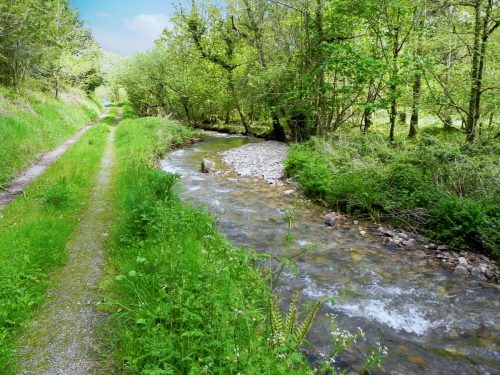 25.-Downstream-from-Druids-Combe-Road-Bridge-2