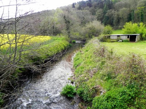 25.-Downstream-from-Frackford-Bridge-2
