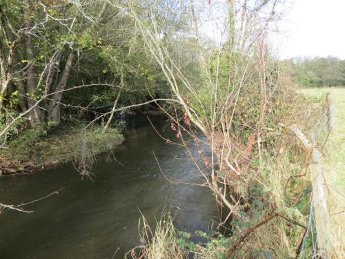 25.-Downstream-from-Kittisford-Mill-bridge-1