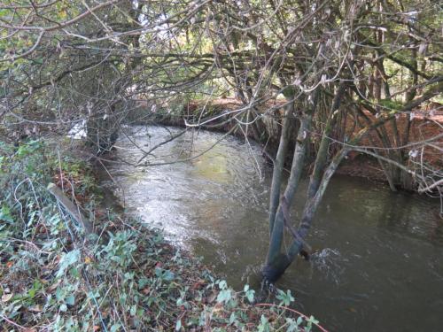 25.-Downstream-from-Kittisford-Mill-bridge-2