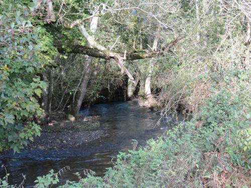 25.-Downstream-from-Kittisford-Mill-bridge-4