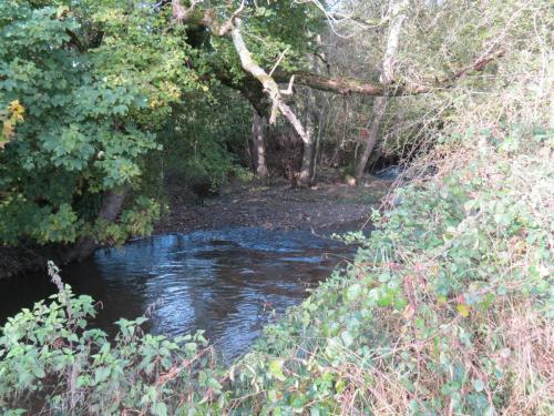 25.-Downstream-from-Kittisford-Mill-bridge-5