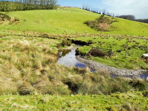 25.-Downstream-from-Long-Holcombe-Water-2