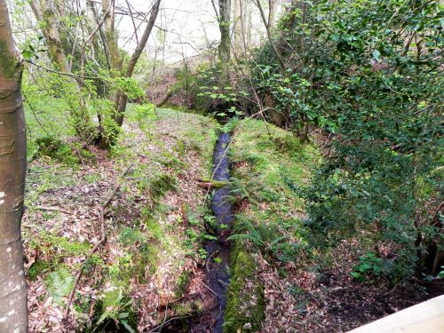 25.-Downstream-from-Luccombe-Plantation-Bridge-2