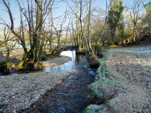 25.-Downstream-from-Luckwell-Bridge-2