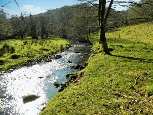 25.-Downstream-from-Lyncombe-Bridge-2