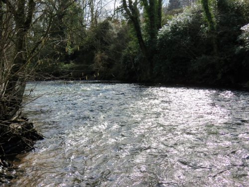 25.-Downstream-from-pipe-bridge-1
