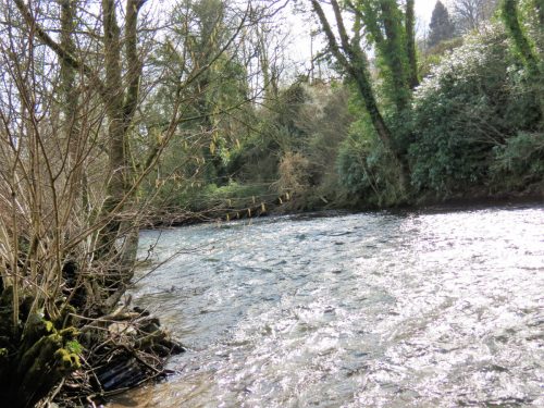 25.-Downstream-from-pipe-bridge-2