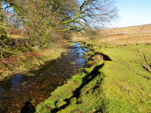 25.-Flowing-below-Furzehill-Common-2