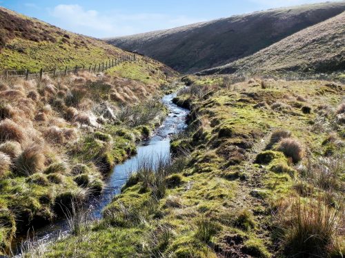 25.-Flowing-below-Hoccombe-Hill-2