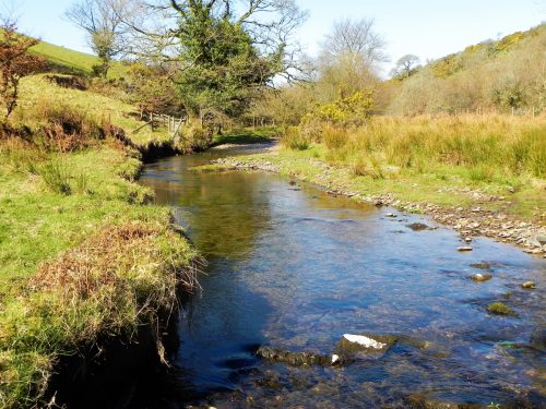 25.-Flowing-below-Shircombe-Farm-2
