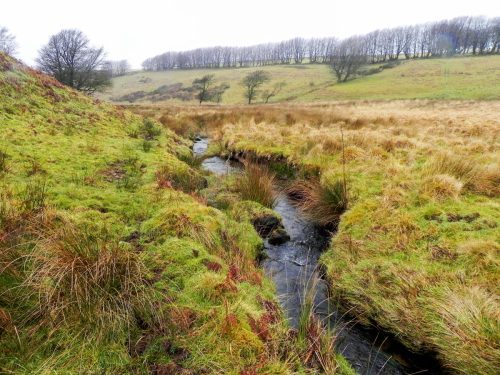25.-Flowing-through-Long-Combe-2