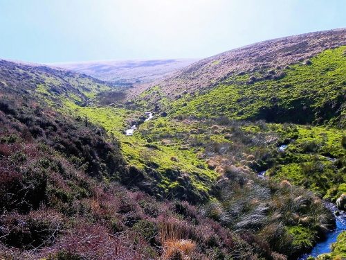 25.-Flowing-through-Madacombe-Upstream-view-4