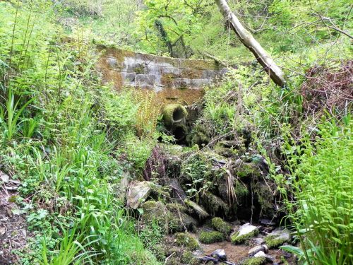 25.-Forehill-Wood-culvert-2 (1)