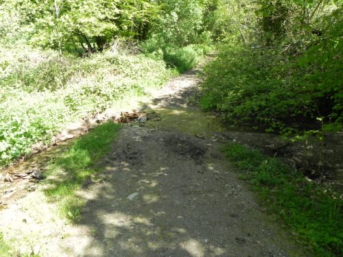 25.-Headwaters-from-Treborough-join-1