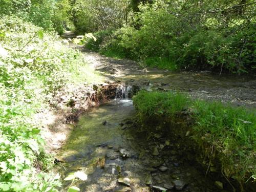 25.-Headwaters-from-Treborough-join-2