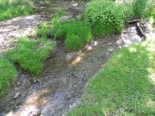 25.-Headwaters-from-Treborough-join-3