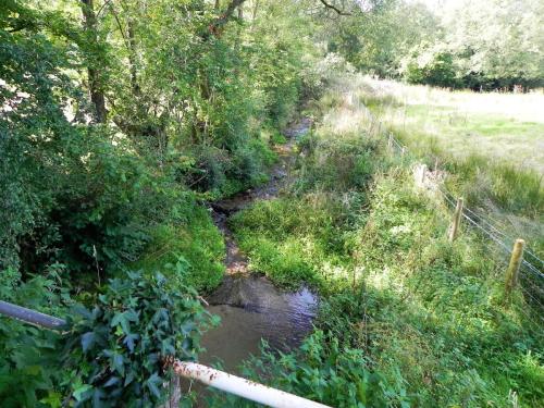 25.-Looking-downstream-from-Perry-Copse-Tributary-Stream-Bridge-2