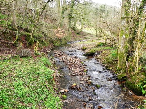 25.-Looking-upstream-from-Ford-Farm-Bridge-2
