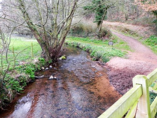 25.-Looking-upstream-from-Lower-Allerford-Footbridge-2
