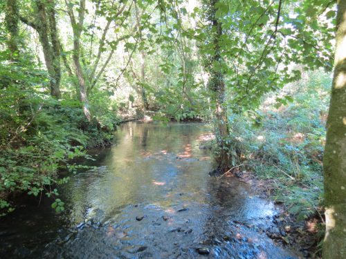 25.-Looking-upstream-from-Riverside-Footbridge
