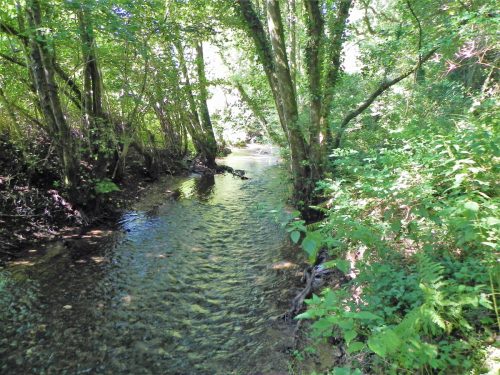 25.-Looking-upstream-from-Tuck-Mill-ROW-footbridge-2