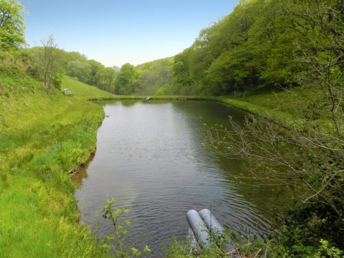 25.-Old-Stowey-Wood-pond-5