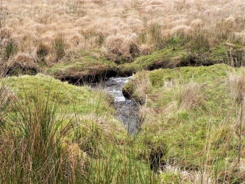 25.-Stream-joins-near-Goats-Hill-Bridge-2