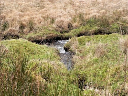 25.-Stream-joins-near-Goats-Hill-Bridge-2