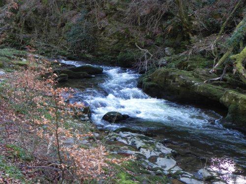 25.-Through-Long-Pool-Wood