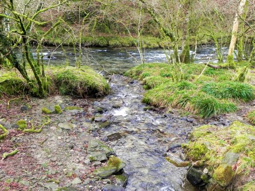 25.-Tributary-Stream-from-Park-Wood-2