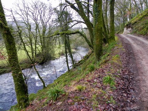 25.-Upstream-from-Marsh-Bridge-2