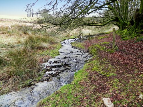 25.-Upstream-from-ROW-Ford-2