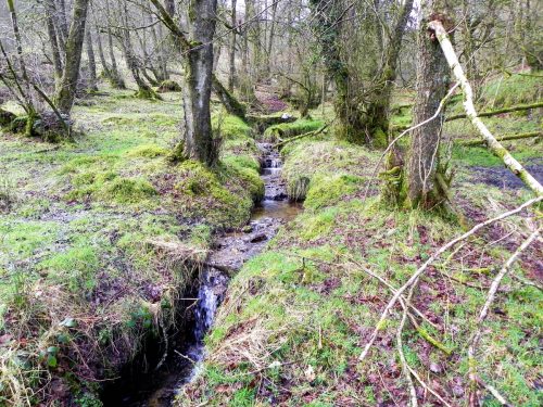 25a.-Ash-Combe-2