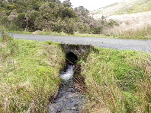 25a.-Stream-joins-near-Goats-Hill-Bridge-2