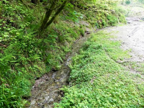 26.-Downstream-from-Forehill-Wood-waterfall-2 (1)