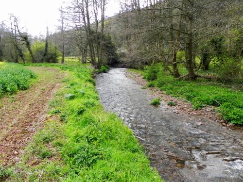 26.-Downstream-from-Frackford-Bridge-2