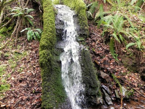 26.-Downstream-from-Luccombe-Plantation-Bridge-2