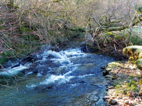 26.-Downstream-from-Luckwell-Bridge-2