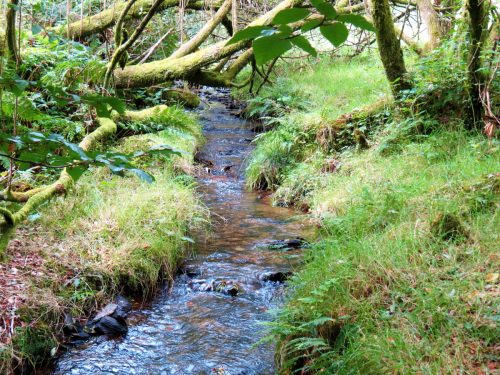 26.-Flowing-below-Beaters-Rocks-2