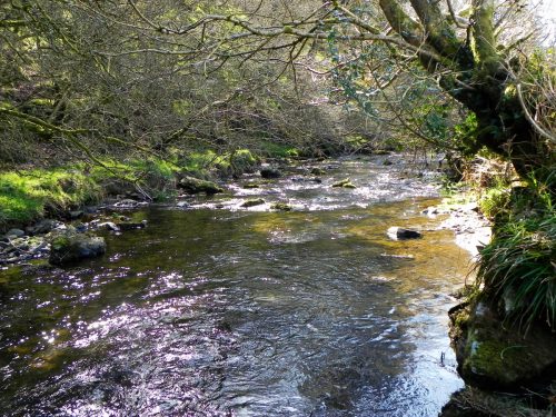 26.-Flowing-below-Shircombe-Farm-2