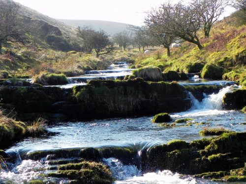 26.-Flowing-below-Stowey-Ridge-2