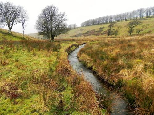 26.-Flowing-through-Long-Combe-2