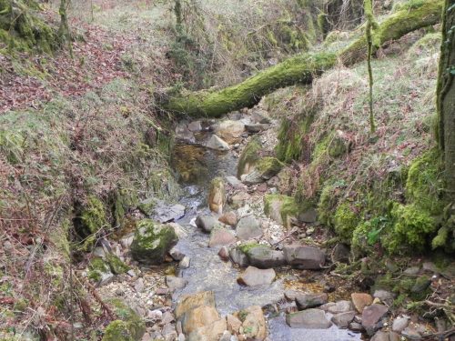 26.-Flowing-through-Mansley-Combe