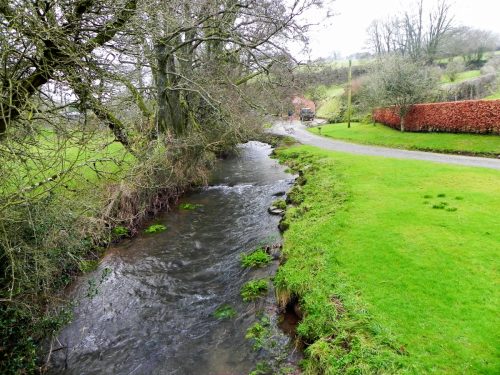 26.-Looking-downstream-from-Denscombe-Mill-Bridge-2