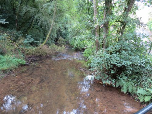 26.-Looking-downstream-from-Manor-Mill-ROW-Bridge