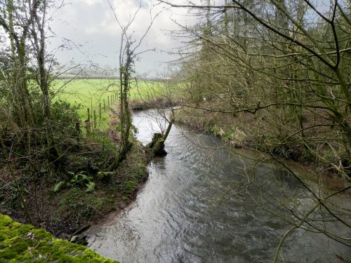 26.-Looking-upstream-from-Haynemoor-Wood-Bridge-2
