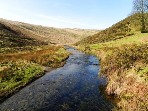 26.-Looking-upstream-from-Wheal-Elisa-Bridge-2